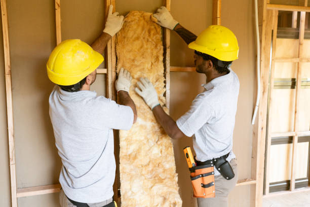 Types of Insulation We Offer in Laguna Beach, CA